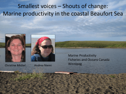 Smallest voices &ndash; Shouts of change: Marine productivity in the