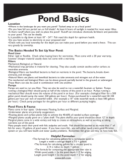 Pond Basics