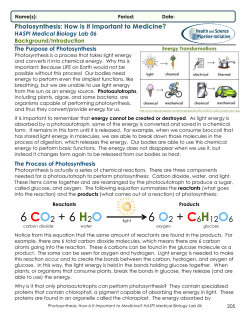 Photosynthesis Lab