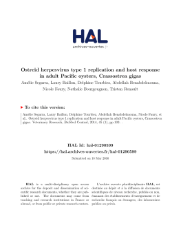Ostreid herpesvirus type 1 replication and host response in