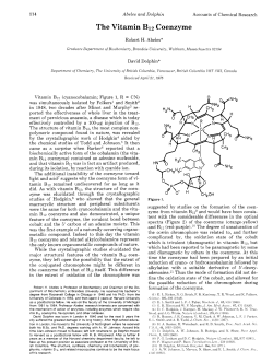 The Vitamin B12 Coenzyme