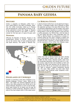 panama baby geisha