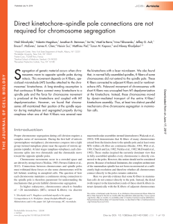 Direct kinetochore–spindle pole connections are not required for