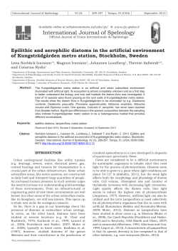 Epilithic and aerophilic diatoms in the artificial environment of