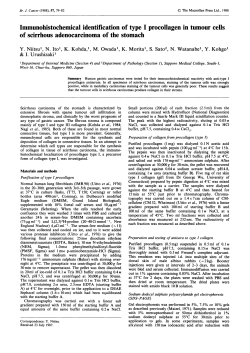 Immunohistochemical identification of type I