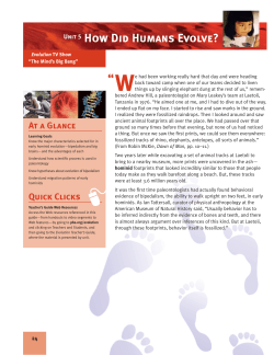 Unit 5 How Did Humans Evolve?