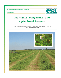 Biofuels Report 3.qxd - Ecological Society of America