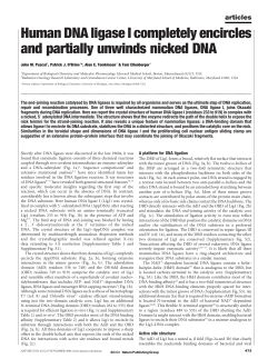 Human DNA ligase I completely encircles and partially unwinds