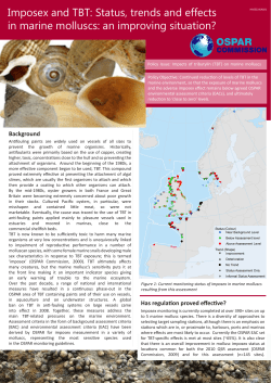 Imposex and TBT - OSPAR Commission