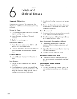 Bones and Skeletal Tissues