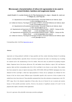 Microscopic characterization of silica-rich - RiuNet