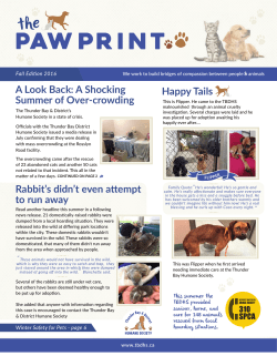 The Paw Print &ndash; Fall Edition (PDF Format)