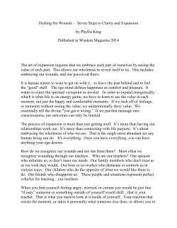 Healing the Wounds &ndash; Seven Steps to Clarity and Expansion by