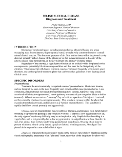 FELINE PLEURAL DISEASE Diagnosis and Treatment
