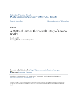 A Matter of Taste or The Natural History of Carrion Beetles