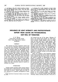 influence of light intensity and photosynthate export from leaves on