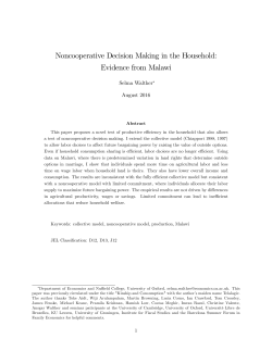 Noncooperative Decision Making in the Household: Evidence from