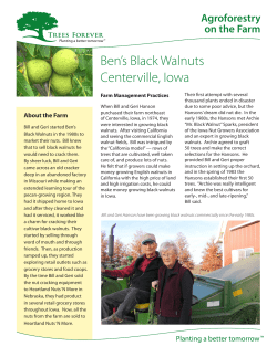 Ben`s Black Walnuts Centerville, Iowa