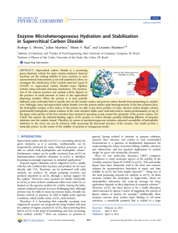 Enzyme Microheterogeneous Hydration and