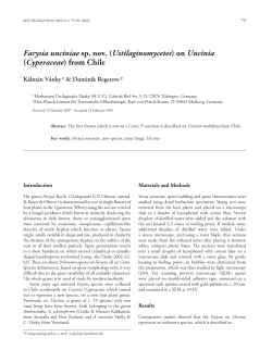 Farysia unciniae sp. nov. (Ustilaginomycetes) on Uncinia