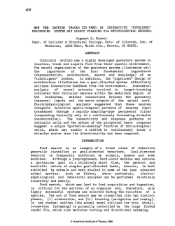 how the catfish tracks its prey: an interactive "pipelined"