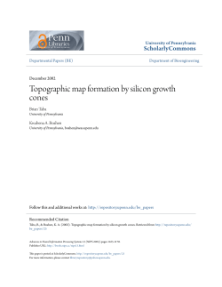 Topographic map formation by silicon growth cones