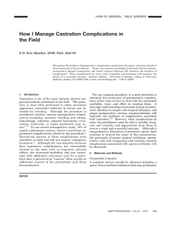 How I Manage Castration Complications in the Field