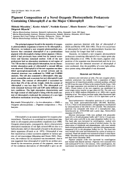Pigment Composition of a Novel Oxygenic Photosynthetic