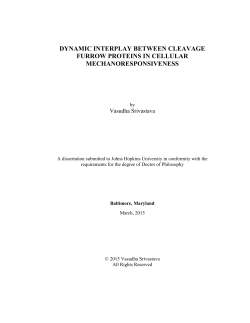 DYNAMIC INTERPLAY BETWEEN CLEAVAGE FURROW