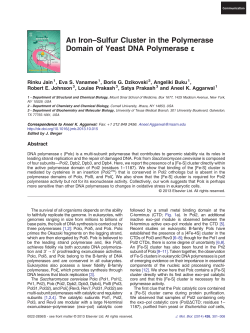 An Iron–Sulfur Cluster in the Polymerase Domain of Yeast DNA