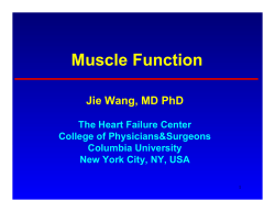 Muscle Function - Columbia University