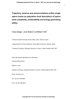 Trajectory variance and autocorrelations within single sperm tracks