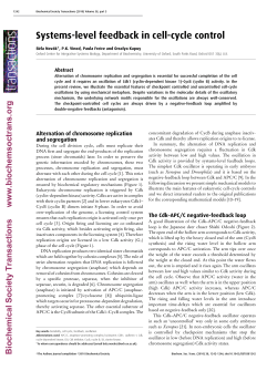 Systems-level feedback in cell-cycle control