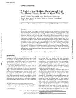 A Conduit System Distributes Chemokines and Small Blood