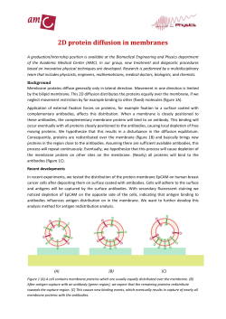 2D protein diffusion in membranes