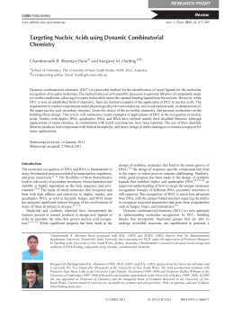 Targeting Nucleic Acids using Dynamic Combinatorial Chemistry