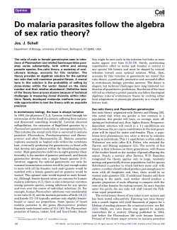 Do malaria parasites follow the algebra of sex ratio theory?