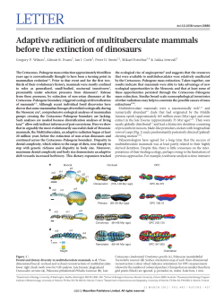 Adaptive radiation of multituberculate mammals before the extinction