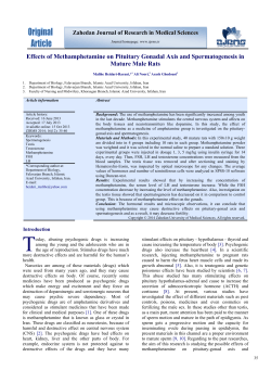Effects of Methamphetamine on Pituitary Gonadal Axis and
