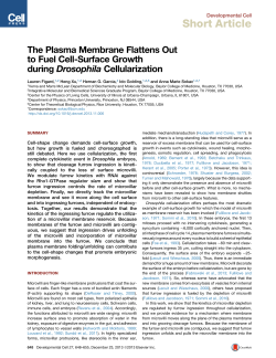 The Plasma Membrane Flattens Out to Fuel Cell