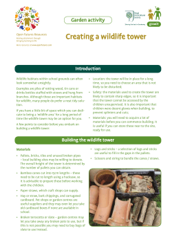 Creating a wildlife tower