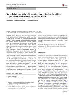 Bacterial strains isolated from river water having the ability to split