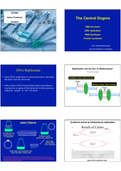 The Central Dogma