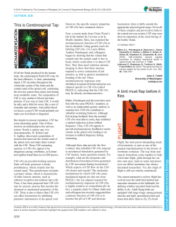 A bird must flap before it flies - Journal of Experimental Biology