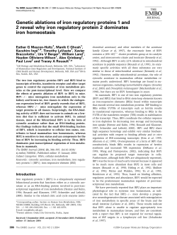 Genetic ablations of iron regulatory proteins 1 and 2 reveal why iron