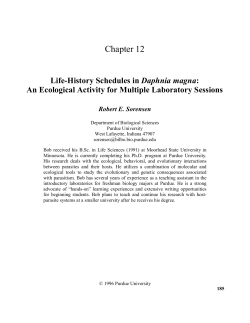 Life-History Schedules in Daphnia magna
