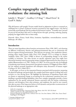 Complex topography and human evolution: the missing link