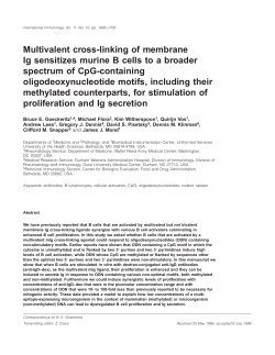 Multivalent cross-linking of membrane Ig sensitizes murine B cells to