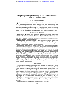 Morphology and Cytochemistry of the Granule
