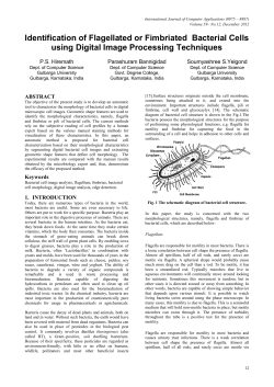 Identification of Flagellated or Fimbriated